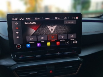 Cupra Formentor Crossover 2.0 TSI 310KM 2024 Cupra Formentor VZ Tribe Edition FV-23%, ASO, Salo, zdjęcie 26