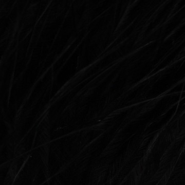 Taimen pióra marabuta Marabou 12-15cm Black