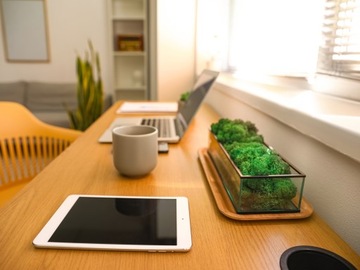 Moss Refier Bropotek 500G зеленая трава трава