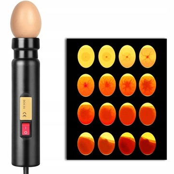 PRZEŚWIETLARKA TESTER OWOSKOP JAJ Z OŚWIETLEN