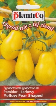 Pomidor gruntowy wysoki Yellow Pear Shaped 0,2g