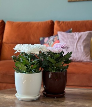 Керамический цветочный горшок на зеленой подставке, 13х12см.