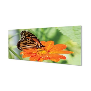 Kuchenny panel szklany Kwiat kolorowy motyl 125x50