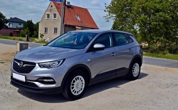 Opel 2019 Opel Grandland X Opel Grandland X 1.2 StartStop Business Elegance 1.2, zdjęcie 1
