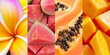 Гавайское тропическое защитное сухое масло SPF10