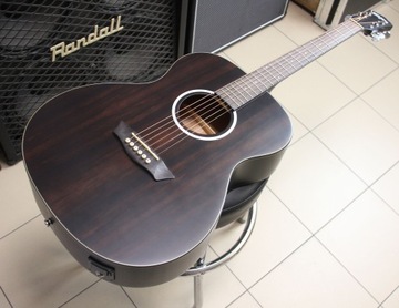 Washburn Deep Forest Ebony FE (фолк) - новинка!