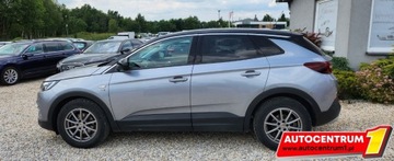 Opel 2020 Opel Grandland X Tylko 66.ooo km Kamera Navi MOZLIWA ZAMIANA 1.2 Benzyna, zdjęcie 3