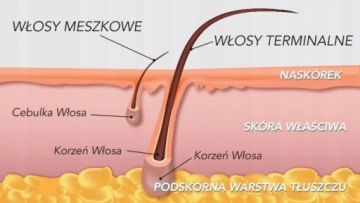 ItalWax твердый воск для мужской эпиляции BARBER 500г