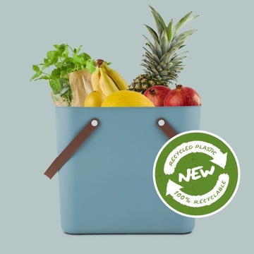 Сумка для хранения коробки Rotho Albula 25 L