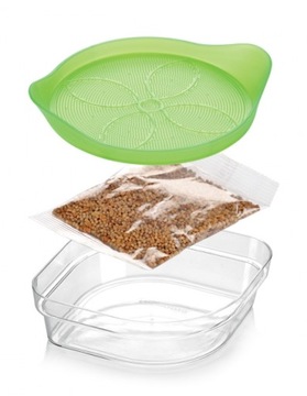 ТЕСКОМА ПРОРАЩИВАНИЕ + СЕМЕНА ДЛЯ ВЫРАЩИВАНИЯ РАССАДЫ СВЕЖИХ ЗДОРОВЫХ РАССТАВ В ДОМАШНИХ УСЛОВИЯХ