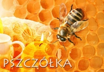 Matki pszczele UNASIENNIONE CT83, Sklenar, Hinderhoffer