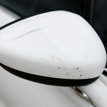 K2 NUTA Anti Insect PRO 1л жидкость для уничтожения насекомых