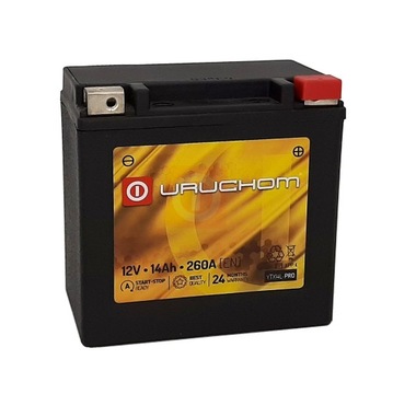 Akumulator Uruchom YTX14L-PRO 14Ah 260A AGM YTX14