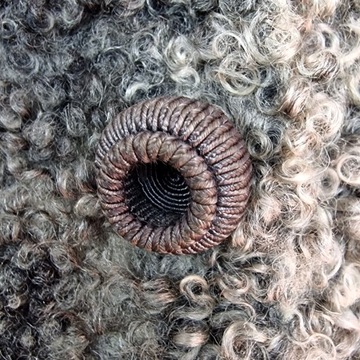 ВИНТАЖНЫЙ КАРАКУЛЯРНЫЙ МЕХ СЕРОГО ЦВЕТА