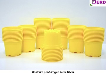 10шт ПРОИЗВОДСТВЕННЫЕ цветочные горшки 10 см ЖЕЛТЫЙ кресс-салат нарцисс нарцисс крокус весна