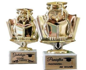 Statuetka SOWA figurka 13cm SUPER UCZEŃ + opis