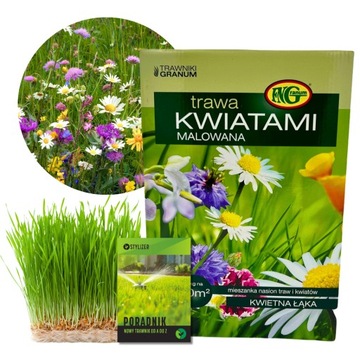 TRAWA NASIONA OZDOBNA Z KWIATAMI SAMOZAGĘSZCZAJĄCA 1KG DEKORACYJNA ŁĄKA