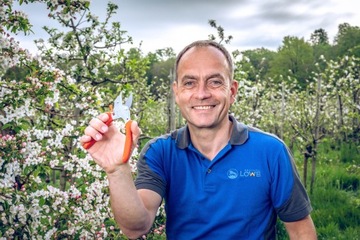 Секатор ANvil, ручной, для BRANCHES ORGINAL LOWE 5 .107 маленький 17,5см 16мм