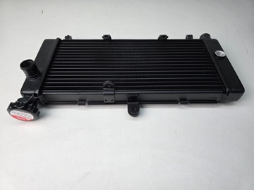 Nowa Chłodnica HONDA HORNET 600 CB600 CB 600 F 98-06r 19010-MBZ-K01