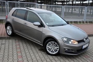 Volkswagen Golf VII Hatchback 3d 1.6 TDI-CR DPF 105KM 2014 Volkswagen Golf VII CUP Edition 1.6TDI 105KM 5drzwi ACC BOGATA Wersja 2014r, zdjęcie 7
