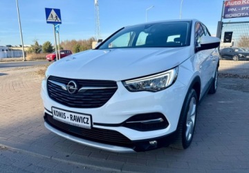 Opel 2021 Opel Grandland X 1.6TPlug-in HYBRID 31.000km 1.6 Hybryda Plug-in 224KM, zdjęcie 19