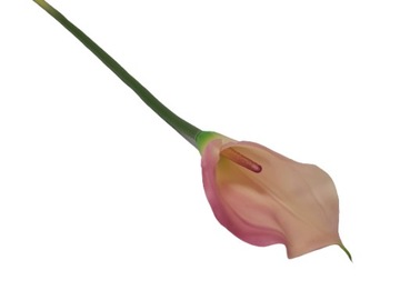 KALLA GUMOWA Kalia Gałązka KWIATY SZTUCZNE róż 74 cm