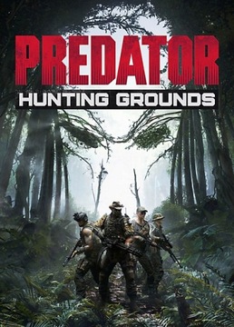 PREDATOR HUNTING GROUNDS PL KLUCZ STEAM