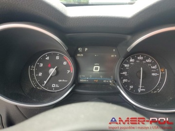 Alfa Romeo Stelvio SUV 2.0 Turbo 280KM 2019 Alfa Romeo Stelvio _4x4_2.0 L_280 km_2019r 2.0 Benzyna 280KM, zdjęcie 10