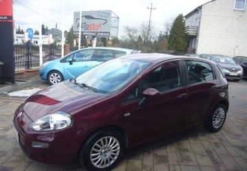 Fiat Punto Punto 2012 Hatchback 3d 1.2 8v 69KM 2014 Fiat Punto Fiat Punto IV Salon PL 1.2 Benzyna 69KM, zdjęcie 1