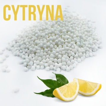 Pochłaniacz wilgoci OSUSZACZ POWIETRZA 400 ml 190g Lemon ARDOR