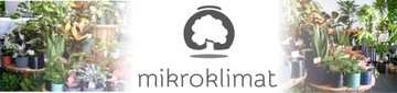 Микроклимат Лес в банке со светодиодной подсветкой, высота 33 см.