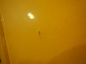 FORD TRANSIT VI 00-06 ДВЕРЬ ЗАДНЯЯ ЛЕВАЯ ЗАДНЯЯ