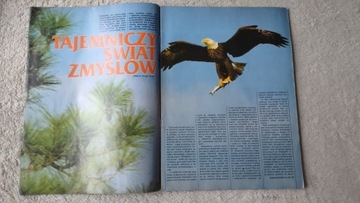 Из этого мира 2 1992