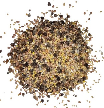 Mieszanka na poplon, szybko zazieleniająca - 10 kg