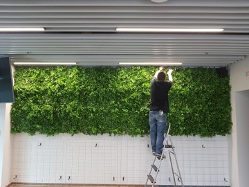 Стеновая зеленая панель Chrobotek 0,5х0,5 м искусственная изгородь Гарантия 10 лет