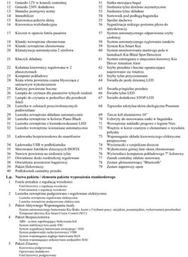 Kia Niro I Crossover 1.6 GDi Hybrid 141KM 2017 Kia Niro Bezwypadkowe, FV23, XL, KredytowanieLeasing gwarancja 12m, Plug-in, zdjęcie 35