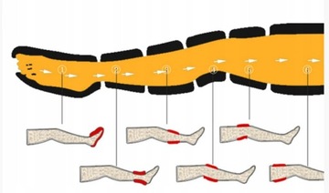 Прессотерапия, лимфодренаж, массажер для ног, массаж