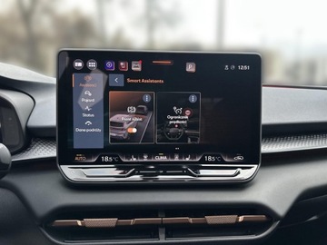 Cupra Terramar SUV 1.5 eTSI 150KM 2024 Cupra Terramar 1.5 eTSI 150KM Audio Sennheiser Pak, zdjęcie 19