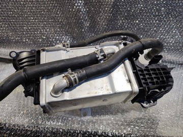INTERCOOLER L1BQ6C896AC 1.5 TDCI FORD 2020