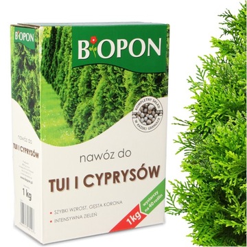 NAWÓZ TUI CYPRYSÓW 1 KG PRZECIW BRĄZOWIENIU IGIEŁ GRANULAT WIELOSKŁADNIKOWY