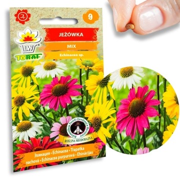Nasiona mieszanka roślin Jeżówka mix odmian 1 g Toraf