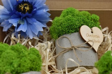 Подарочный набор «Крабовый лес»