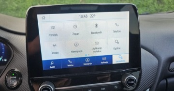 Ford Puma II Crossover 1.5 EcoBlue 120KM 2020 Ford Puma ST-line Pelna opcja 2020r. 1.5 Diesel 120KM, zdjęcie 15