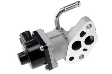 NTY ZAWÓR AGR EGR-MZ-000