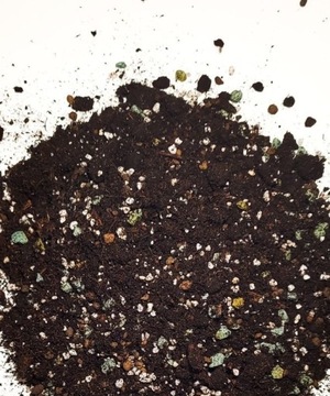 Podłoże do Strelitzia/Strelicja Premium