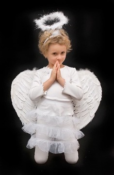 КРЫЛЬЯ ИЗ НАТУРАЛЬНЫХ ПЕРО АНГЕЛА 60х40 см [L]