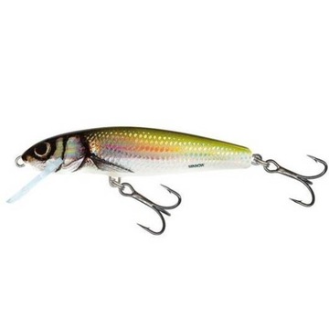 WOBLER SALMO MINNOW 5cm 3g pływający HOLO BLEAK QMW002