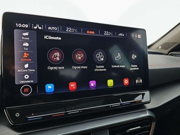 Cupra Formentor Crossover 2.0 TSI 310KM 2022 Cupra Formentor VZ, Dach Panoramiczny, Beats, Mirror Link, Brembo 2.0 310KM, zdjęcie 25