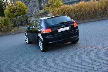 Audi A3 8P Hatchback 3d 1.6 102KM 2008 Audi A3 1.6MPi 102KM Manual 2008r. lift Climatroni, zdjęcie 17