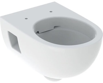 Каркас унитаза GEBERIT Duofix Basic в комплекте с чашей Selnova Premium 118.343.